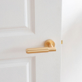 Satin Brass Door Handle on Door