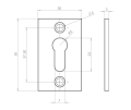 Antique Rectangular Escutcheons 50x32mm Black Antique Rectangular Escutcheons 50x32mm Black