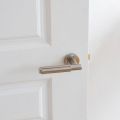 Satin Nickel Door Handle on Door Satin Nickel Door Handle on Door