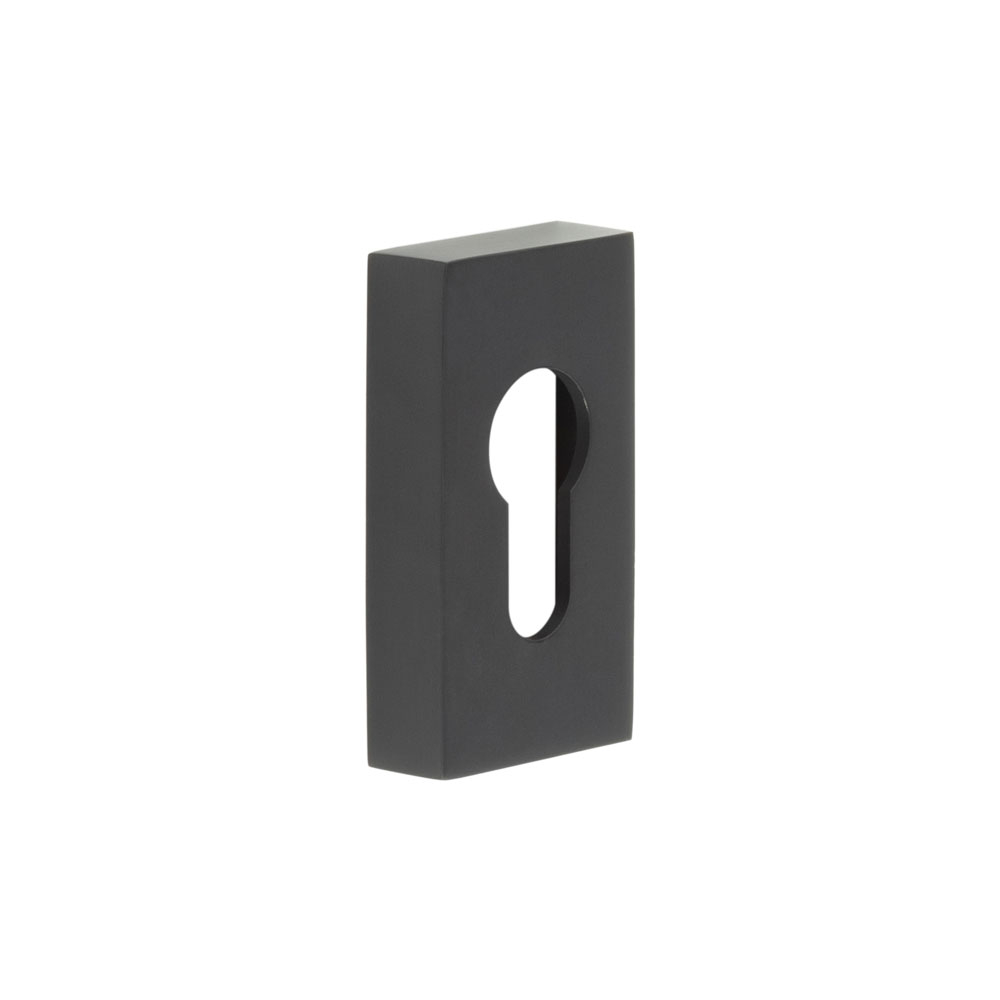 CRES Rectangular Euro Keyway Escutcheon CRES Rectangular Black Euro ...